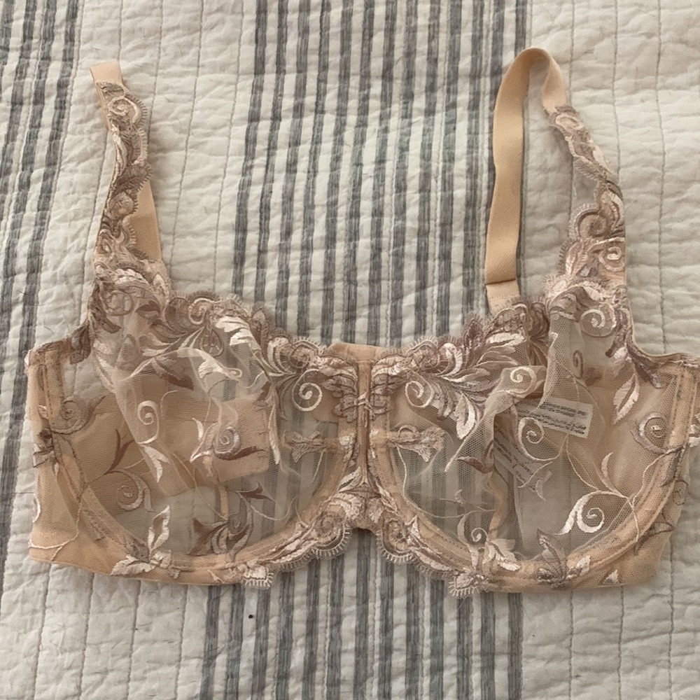 Nude mesh bra